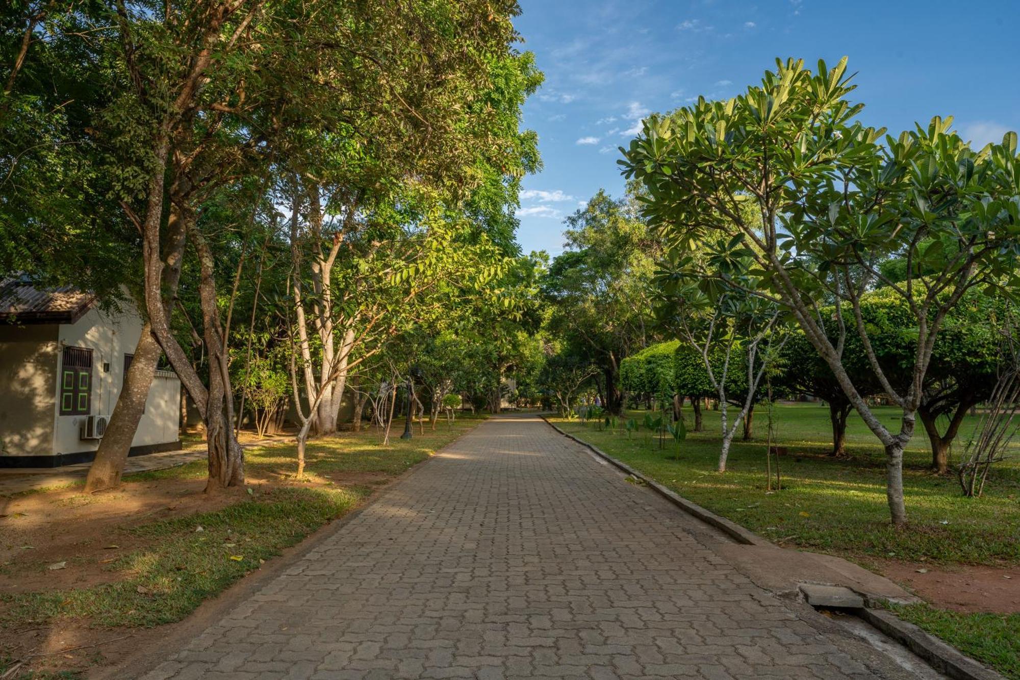 Hotel Oak Ray Elephant Sigiriya